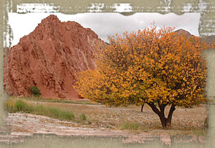 Quebrada de Humahuaca