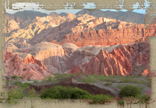 vi&ntilde;edos de altura